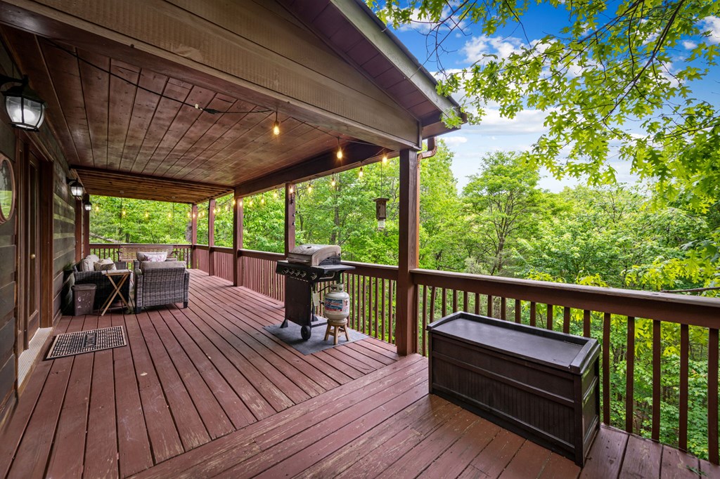 458 Sugar Mountain Road Blue Ridge, GA 30513 - Photo 49 of 65