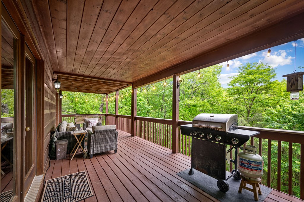 458 Sugar Mountain Road Blue Ridge, GA 30513 - Photo 50 of 65