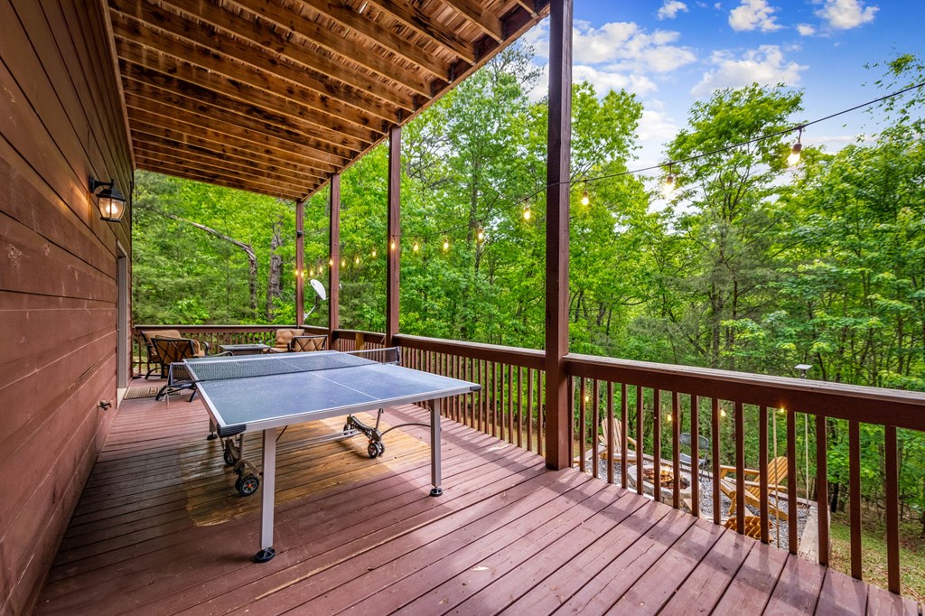 458 Sugar Mountain Road Blue Ridge, GA 30513 - Photo 54 of 65