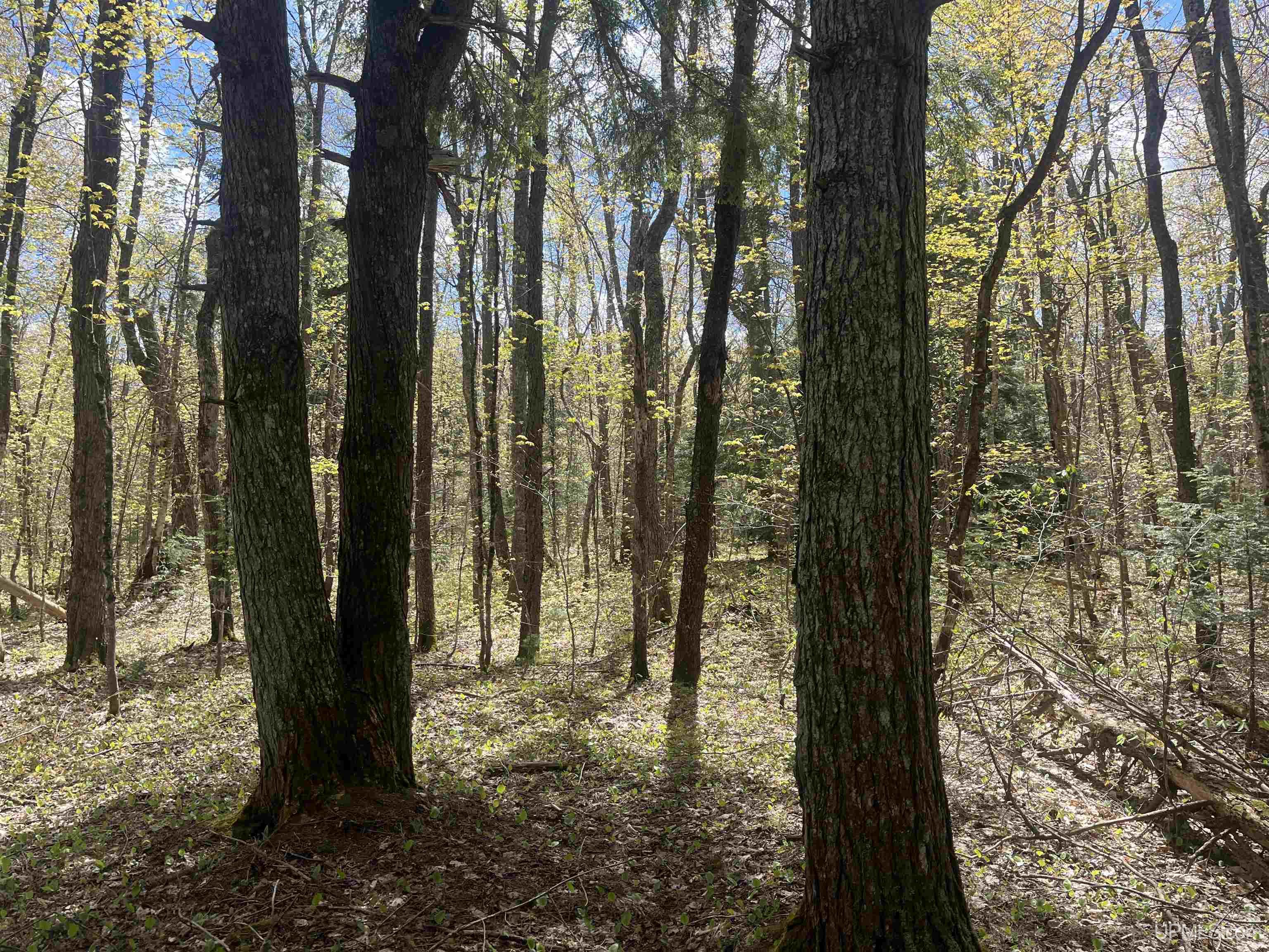 450 Rd Seney Mi 49883 Road Seney, MI 49883 - Photo 23 of 33
