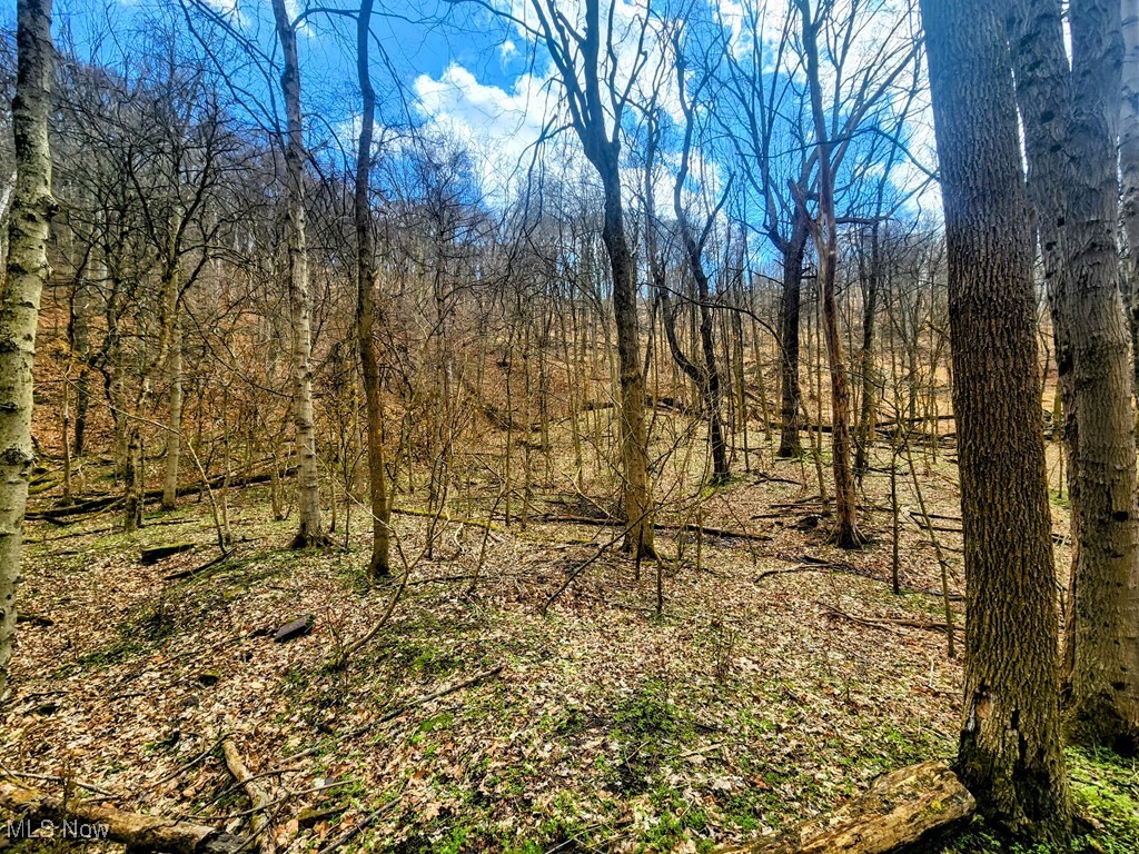 Kings Creek Road New Cumberland, WV 26047 - Photo 13 of 18