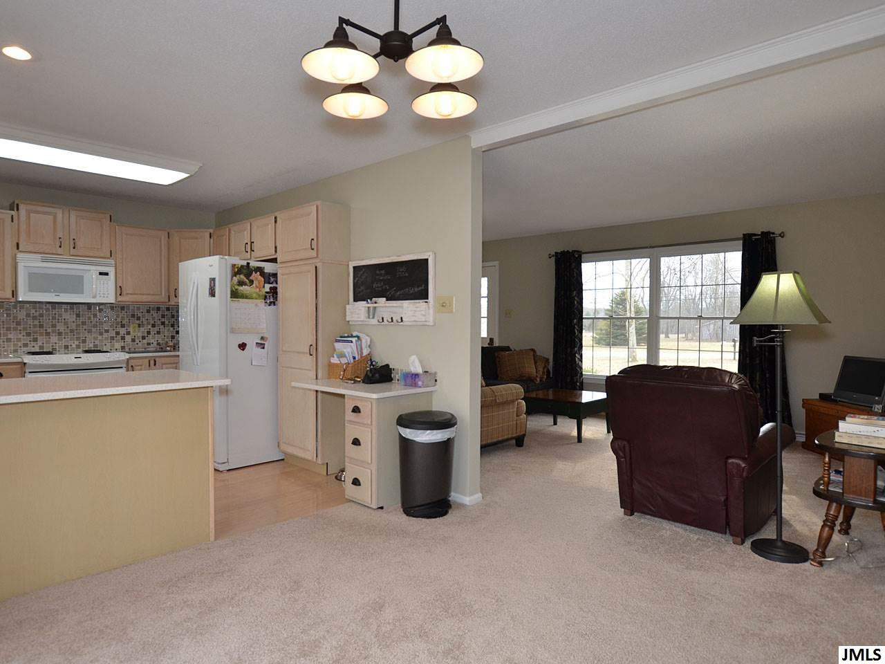 4771 Moon Lake Road Jackson, MI 49201 - Photo 8 of 22 Photo 8