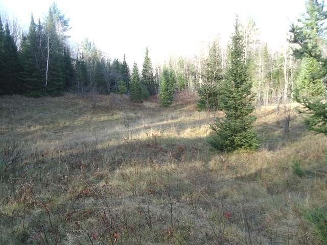 N10689 Tomptabo Road Gleason, WI 54435 - Photo 17 of 20 Gallery Image 17