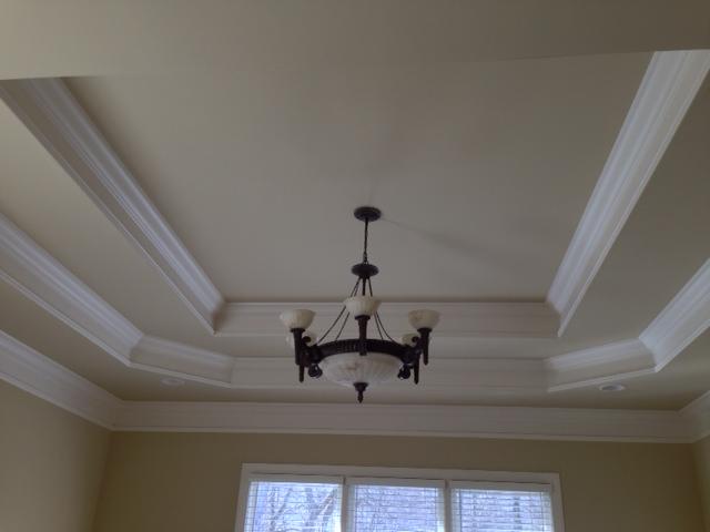 409 Sandcastle Road Franklin, TN 37069 - Photo 9 of 12 Incredible Master Suite with beautiful trey ceiling and views of wooded back yard.