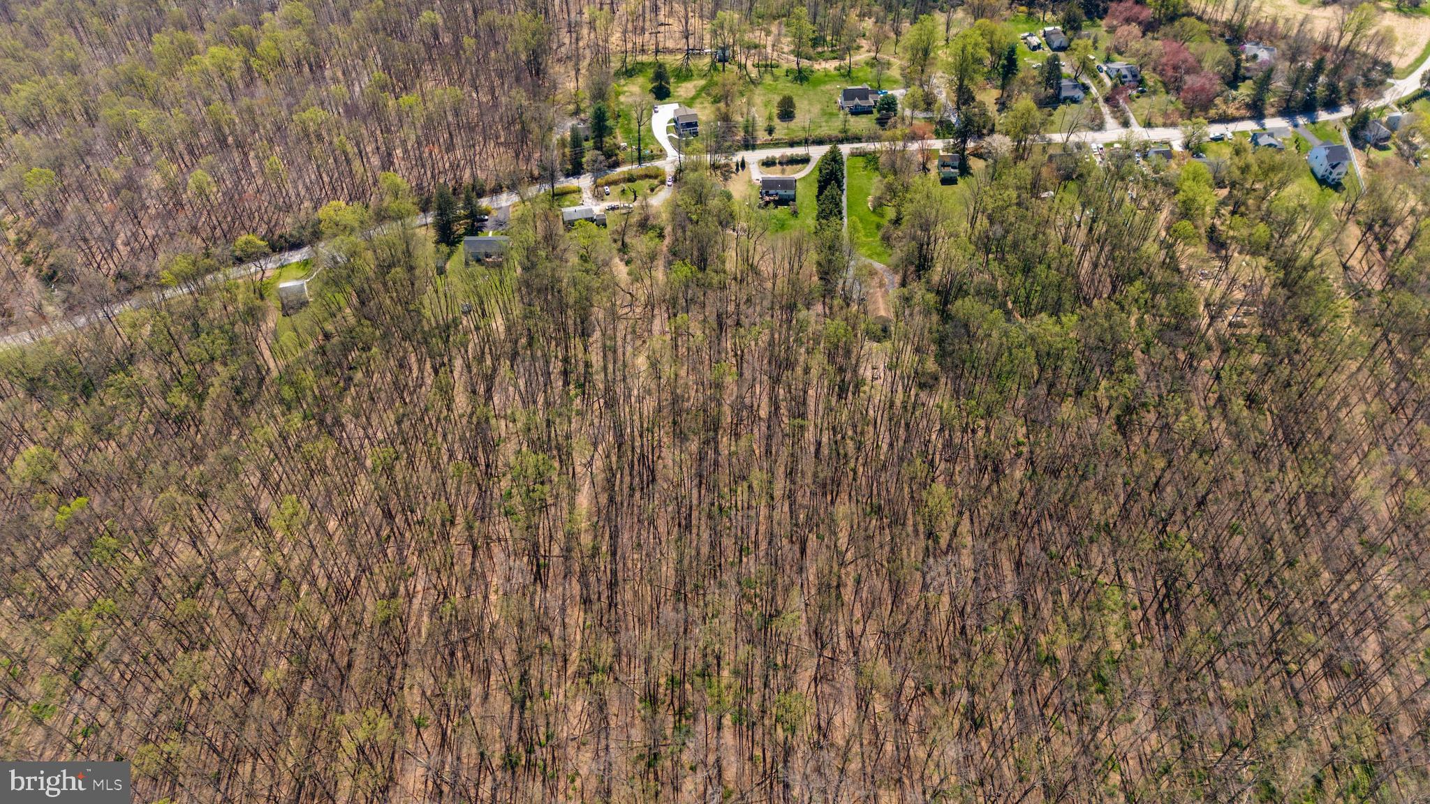 17346 Big Falls Road Monkton, MD 21111 - Photo 5 of 10 a view of a yard with trees