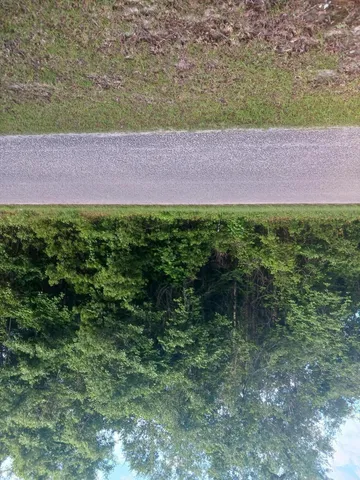 $35,000 | 0 Fox Field Road, Walterboro, SC 29488