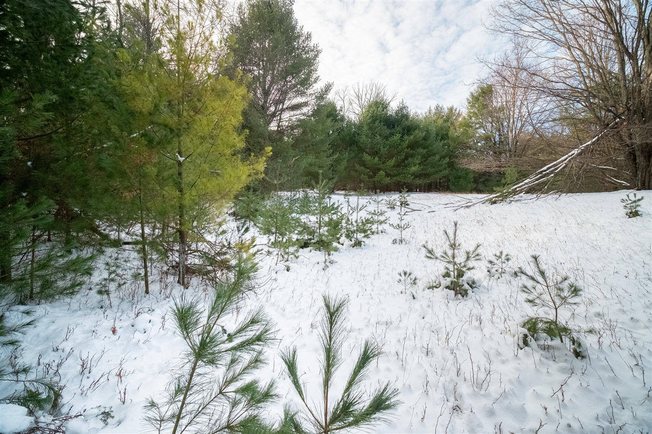 0 Erdman Road Onekama, MI 49675 - Photo 56 of 69 Gallery Image 56