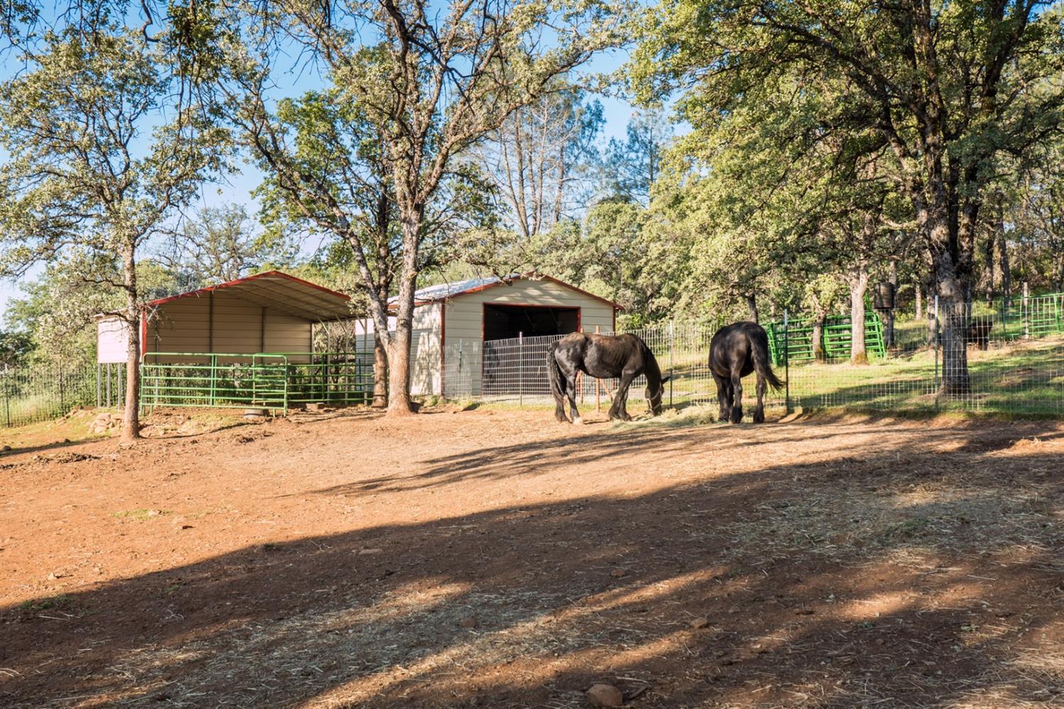 9051 Regent Way Oregon House, CA 95962 - Photo 39 of 49