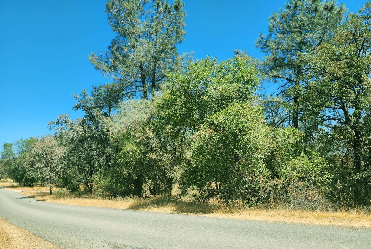 9051 Regent Way Oregon House, CA 95962 - Photo 44 of 49