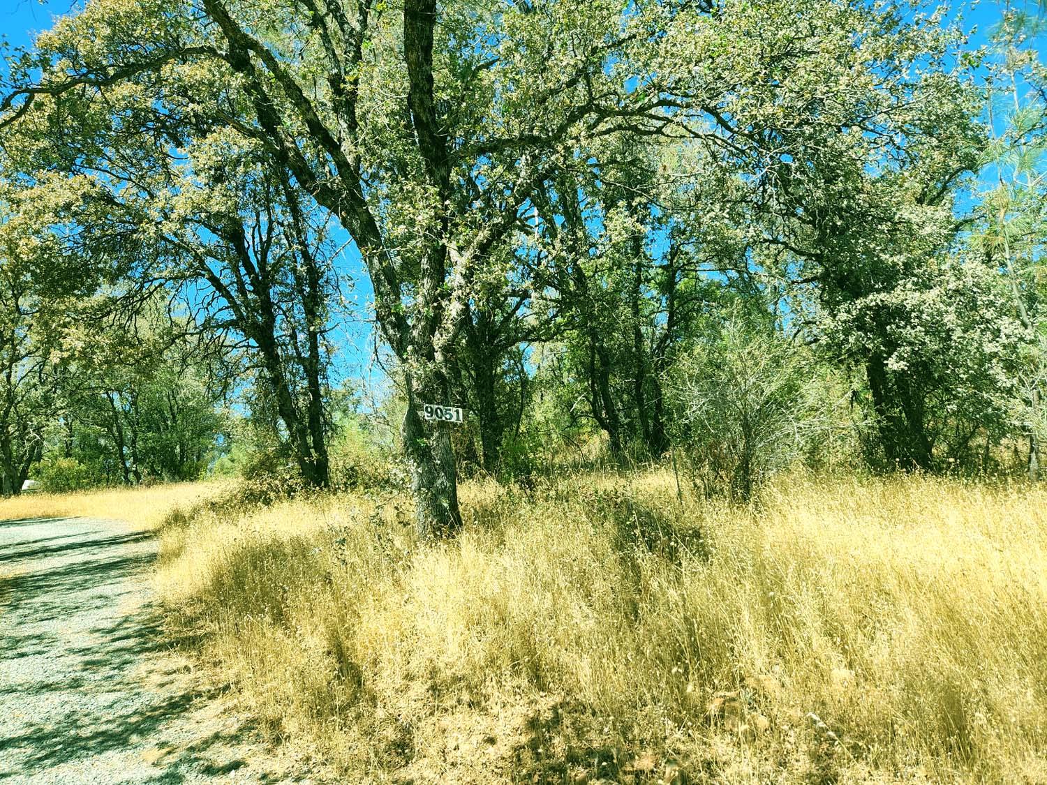 9051 Regent Way Oregon House, CA 95962 - Photo 45 of 49