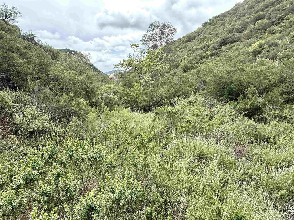0 Mt Olympus Valley Road Fallbrook, CA 92028 - Photo 42 of 50