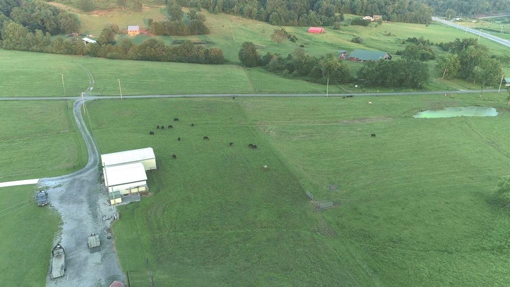 295 CALICO Road Decatur, TN 37322 - Photo 19 of 36 Gallery Image 19