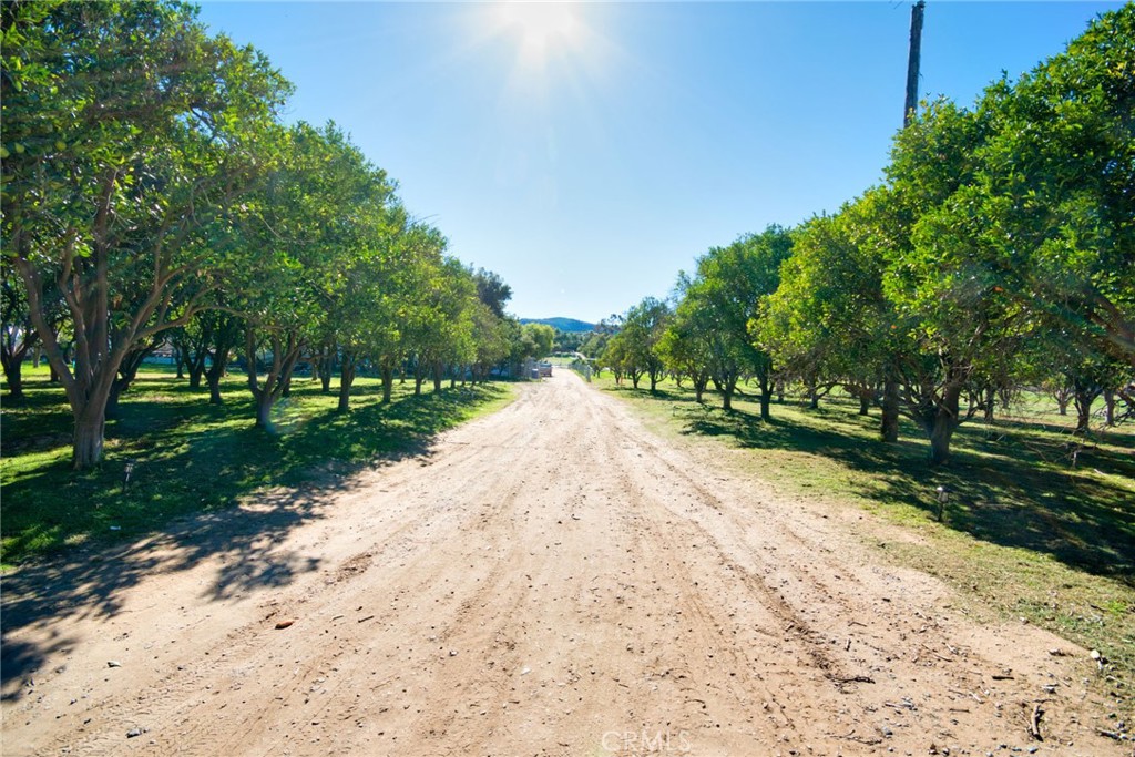 a view of road with grass and trees