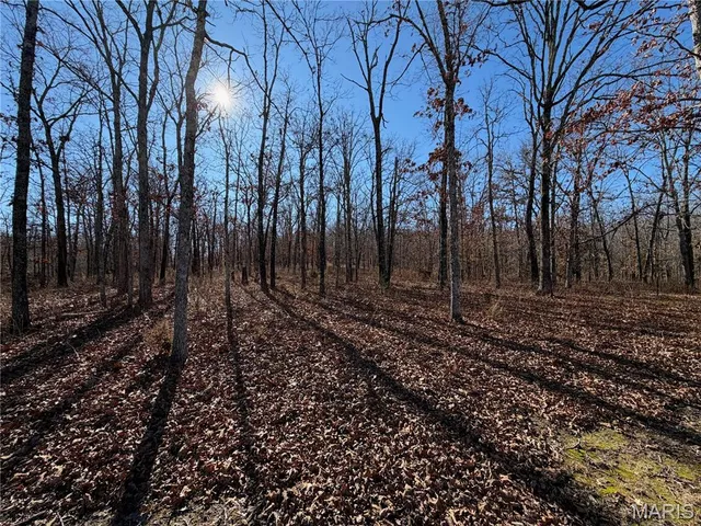 $208,000 | 13120 Highway H Lenox Mo 65541, Lenox, MO 65541