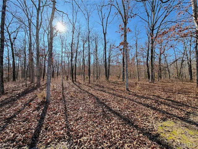 $208,000 | 13120 Highway H Lenox Mo 65541, Lenox, MO 65541