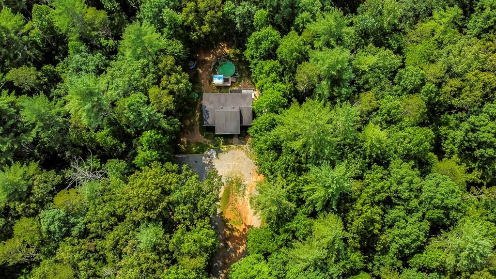 420 New Hope Club Road Ellijay, GA 30540 - Photo 1 of 23 Main View