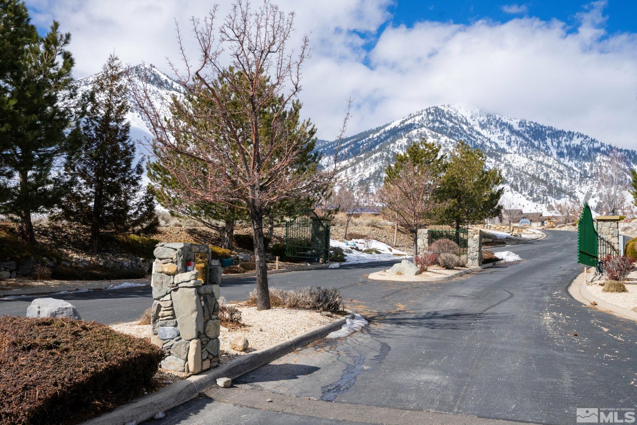 324 James Canyon Loop, Unit 44 Genoa, NV 89411 - Photo 6 of 40 a view of yard with tree in center