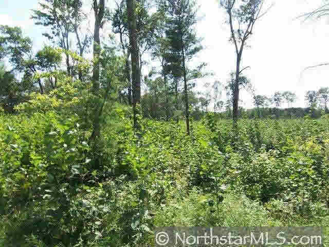 Xxx Cty Rd C Webster, WI 54893 - Photo 3 of 10