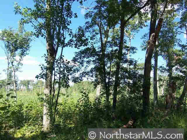 Xxx Cty Rd C Webster, WI 54893 - Photo 8 of 10