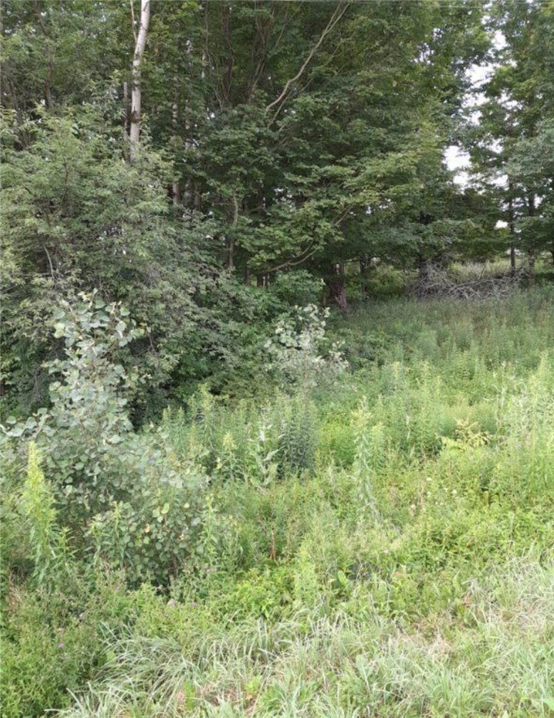 0 Stauber Road Groton, NY 13073 - Photo 11 of 13
