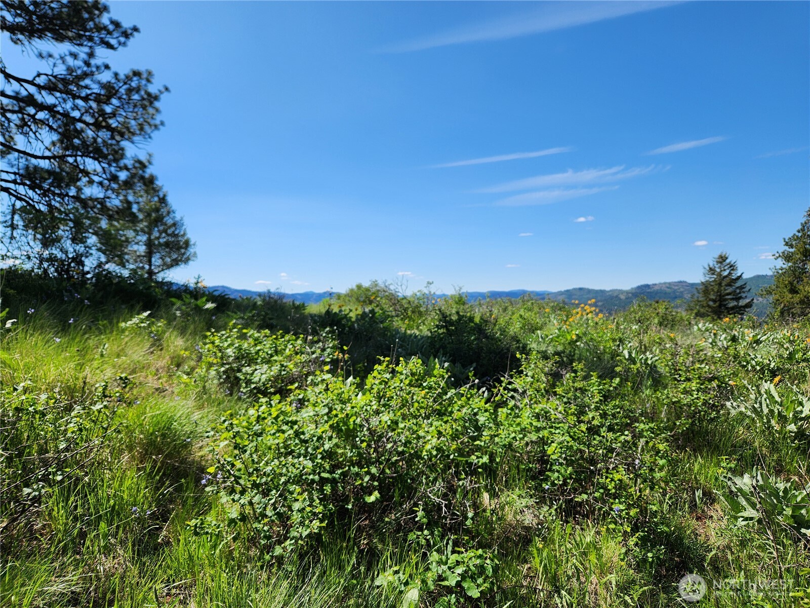 0 East Knob Hill Road Republic, WA 99166 - Photo 6 of 9