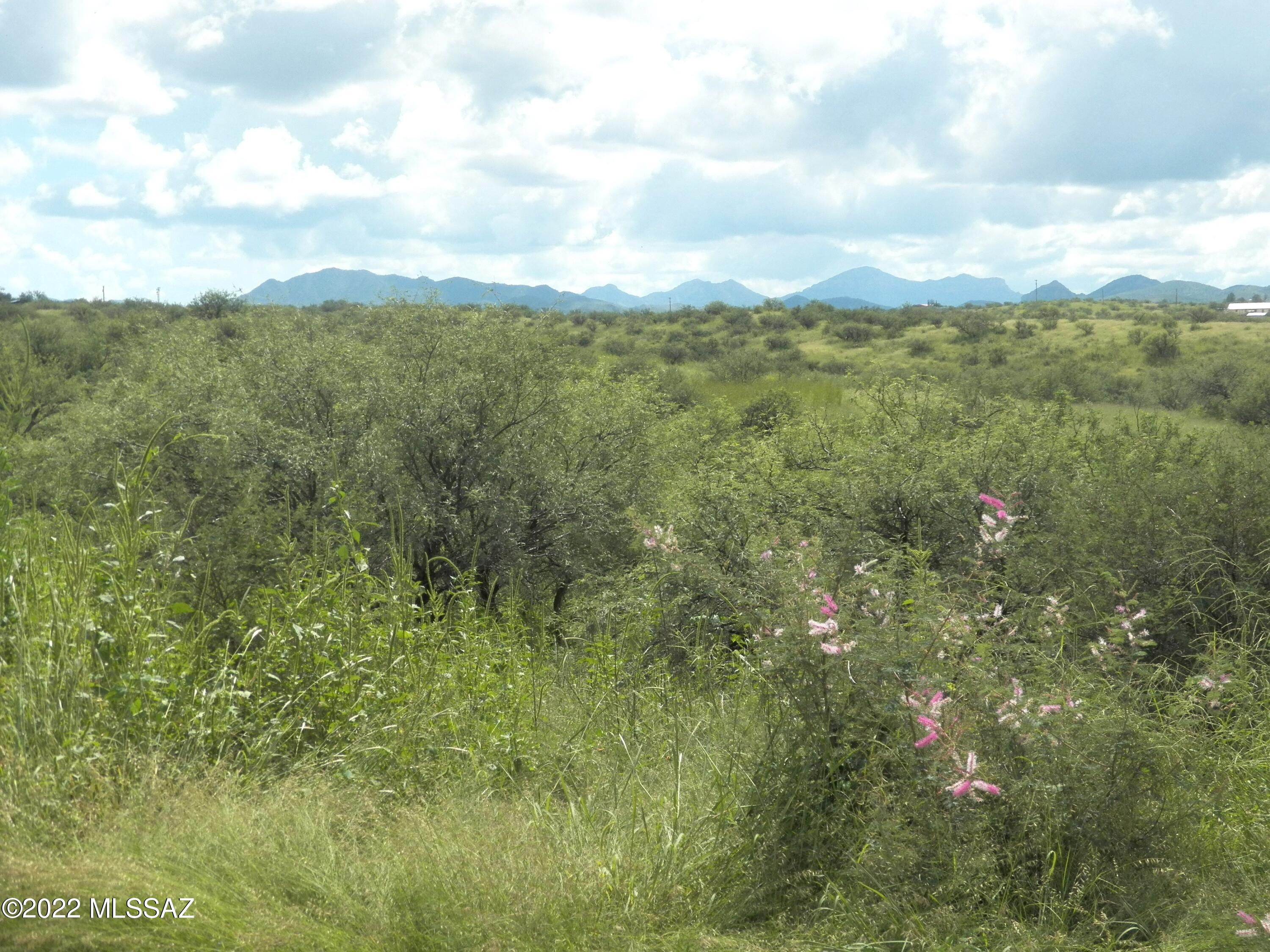 37750 South Ruby Road Arivaca, AZ 85601 - Photo 28 of 32