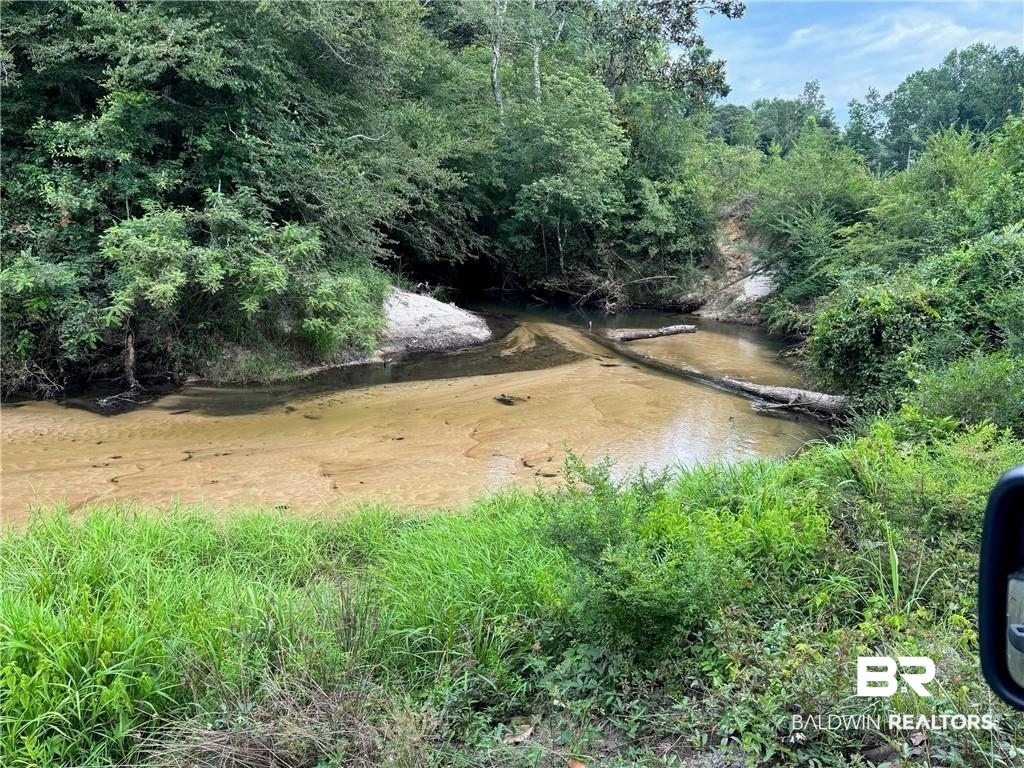 0 Circle R Farm Drive Florala, AL 36442 - Photo 21 of 25