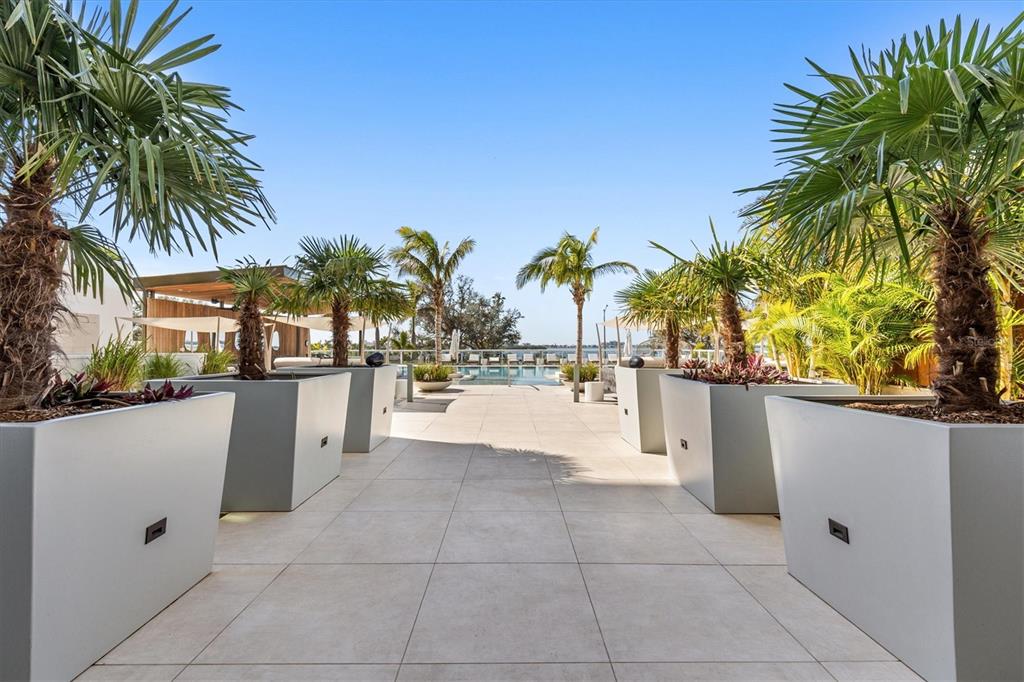 1020 Sunset Point Road, Unit 703 Clearwater, FL 33755 - Photo 28 of 50 a view of outdoor kitchen with palm trees
