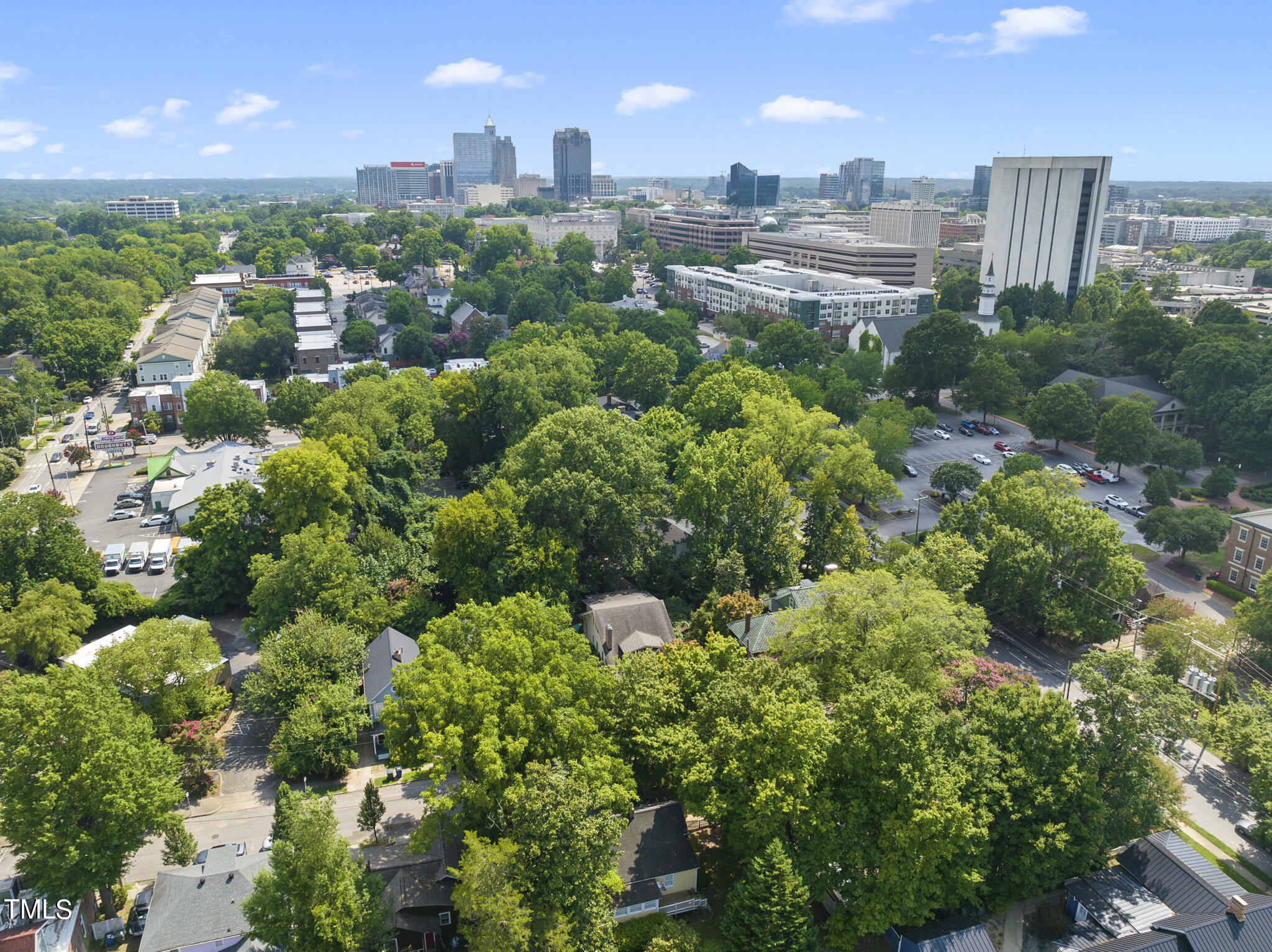 215 Pace Street Raleigh, NC 27604 - Photo 21 of 25 a view of a city