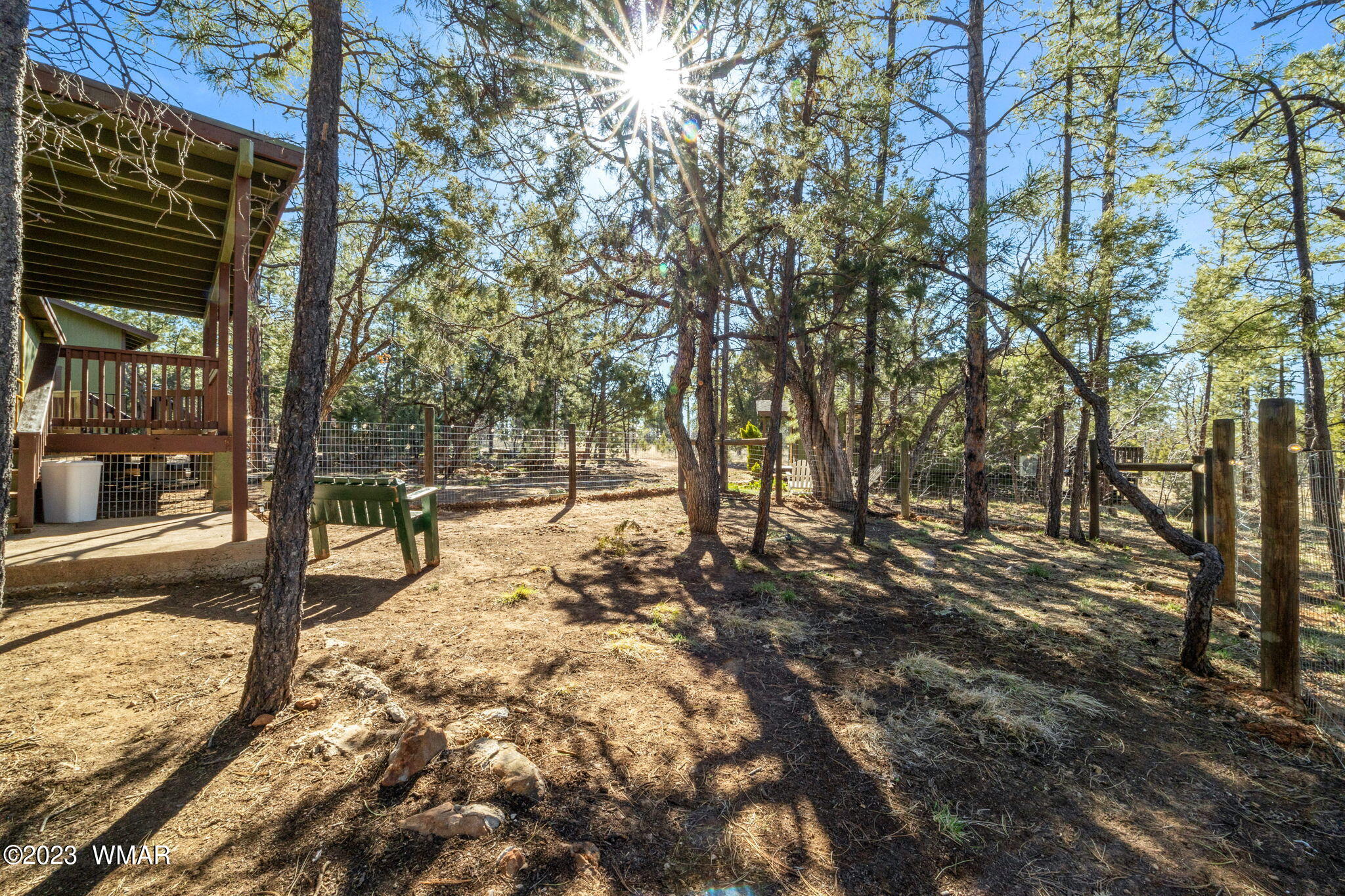 2001 Judy Ranch Road Overgaard, AZ 85933 - Photo 14 of 41 a view of a yard with trees