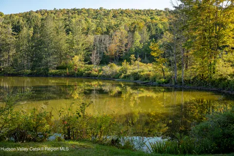 $795,000 | 396 Doig Hollow Road, Bovina, NY 13731