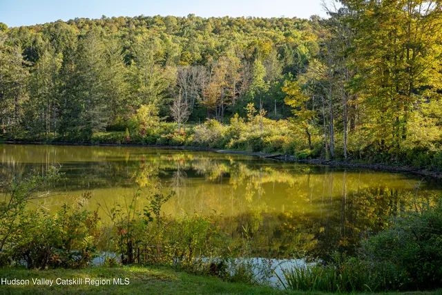 $795,000 | 396 Doig Hollow Road, Bovina, NY 13731