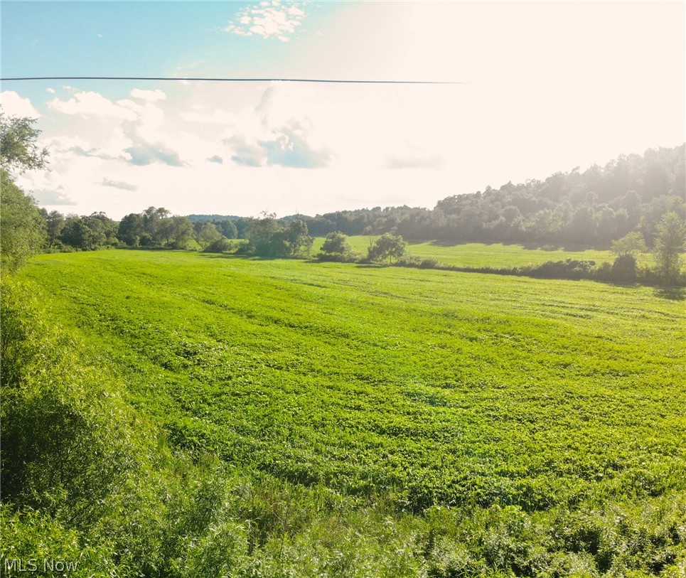 Wolf Road Newcomerstown, OH 43832 - Photo 23 of 35 Gallery Image 23