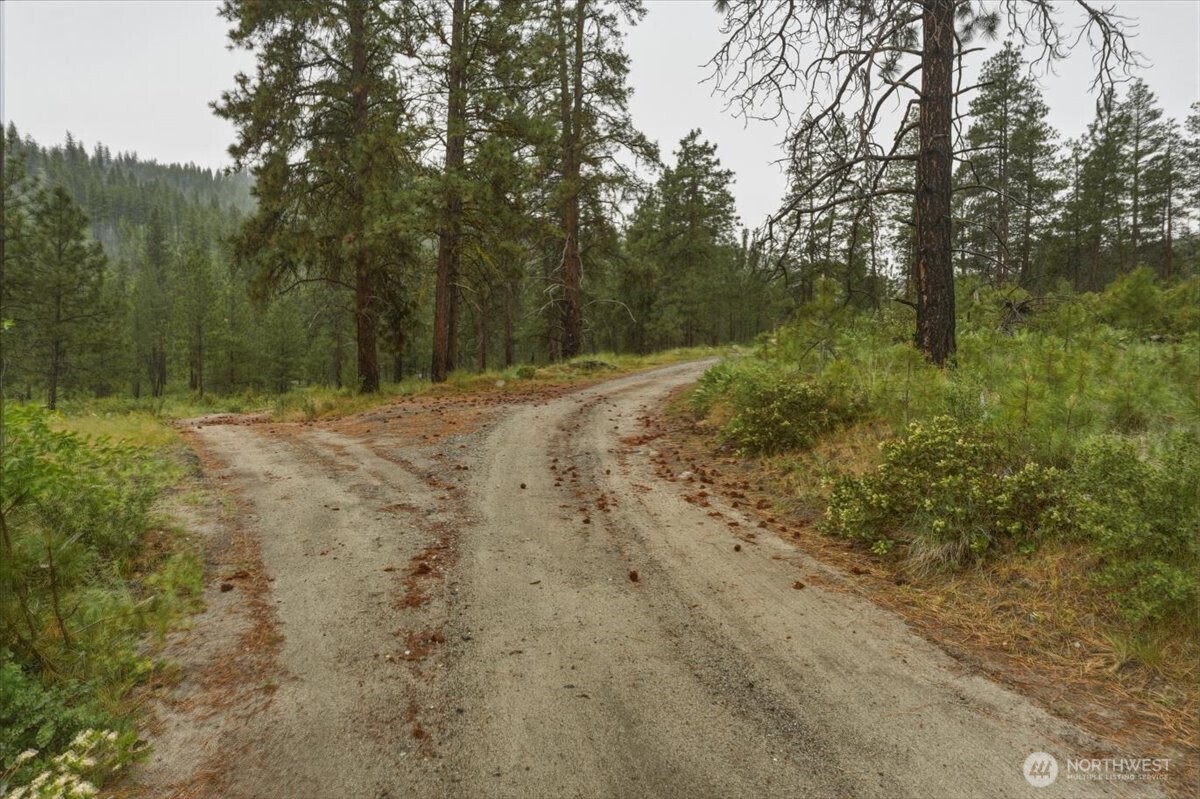 0 Washington Creek Road Chelan, WA 98816 - Photo 26 of 29 a view of a yard with trees