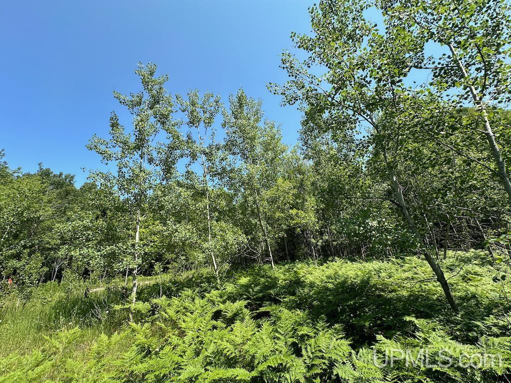 Parcel A Webb Road Grand Marais, MI 49839 - Photo 23 of 29