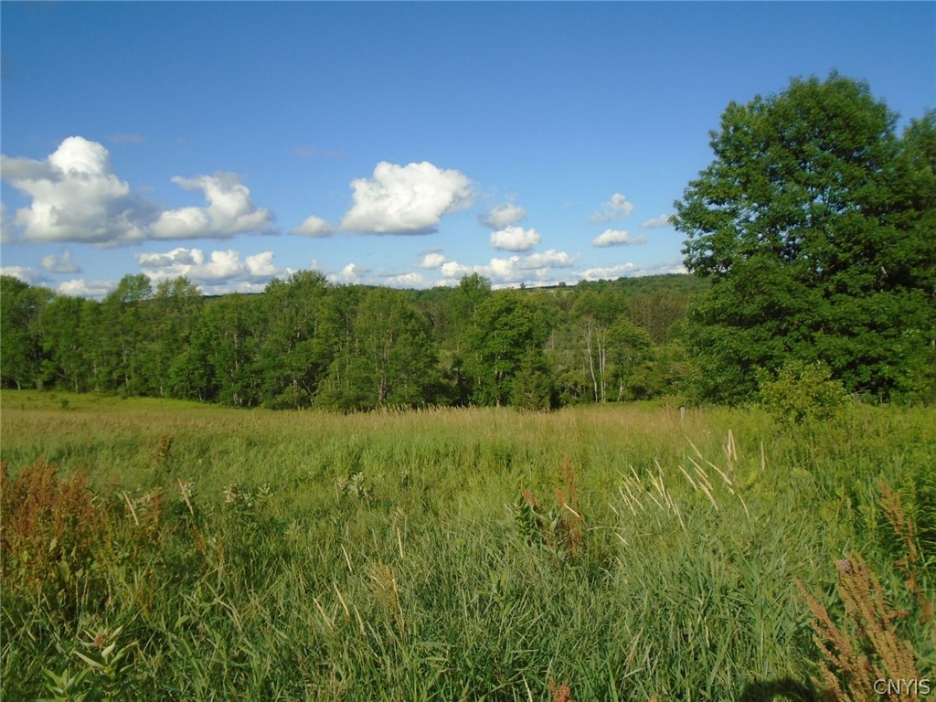 Lot #27 Ridgeview Road Norwich, NY 13815 - Photo 1 of 1 Gallery Image 1