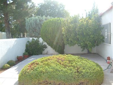 4840 East Fort Lowell Road, Unit F Tucson, AZ 85712 - Photo 4 of 10