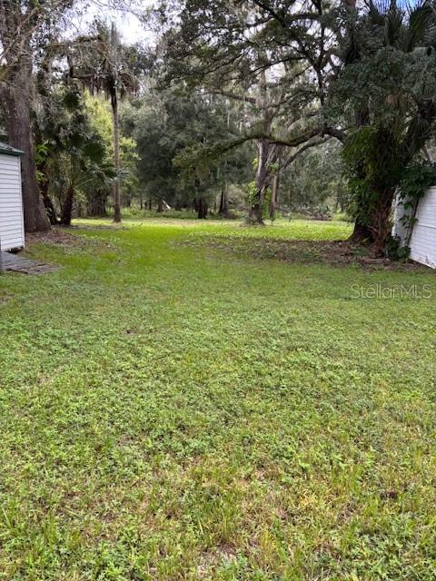 24739 Audrey Road Land O' Lakes, FL 34639 - Photo 18 of 20 a view of a field with trees