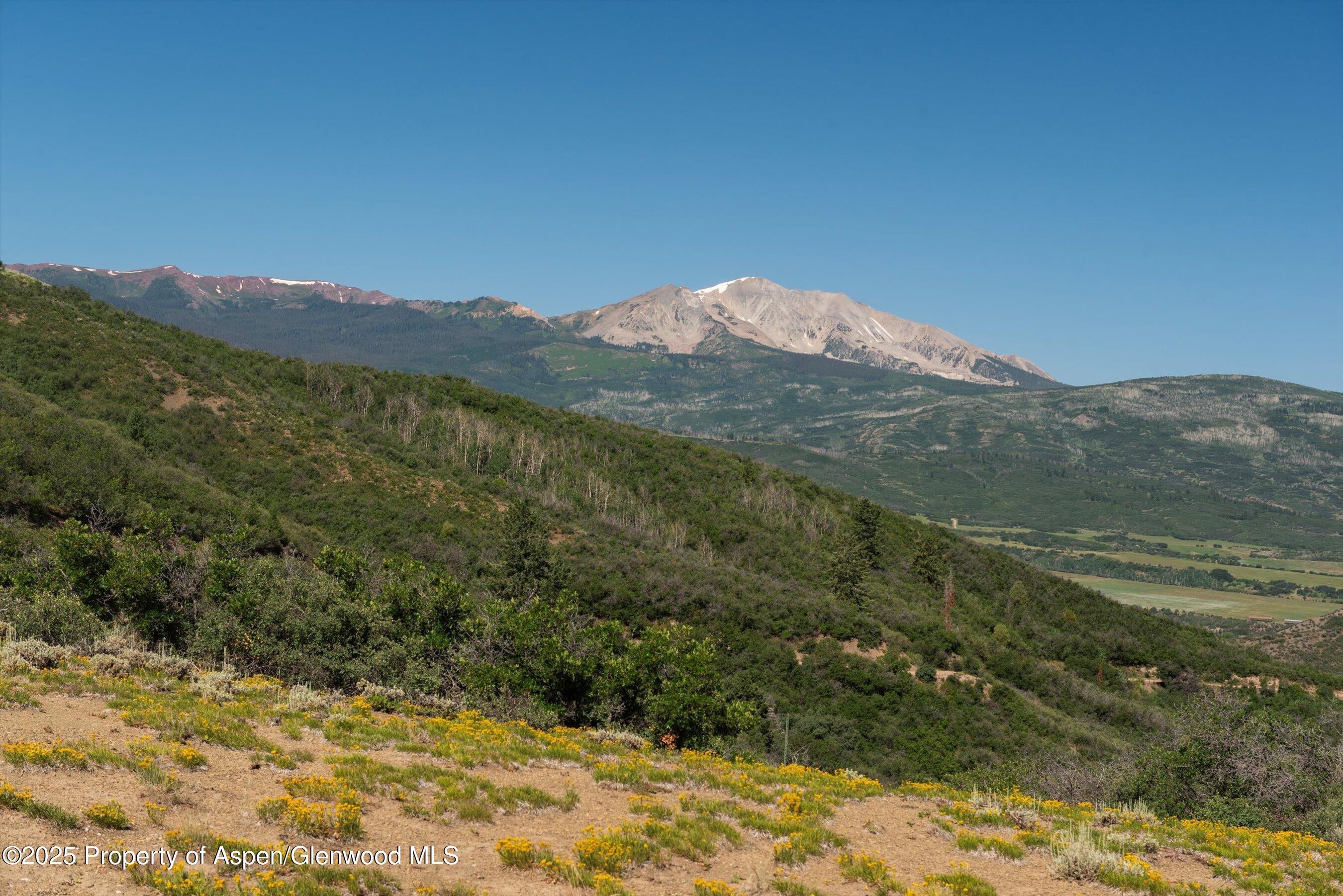 Tbd Monastery Road Snowmass, CO 81654 - Photo 16 of 26 a view of a forest with mountains in the background