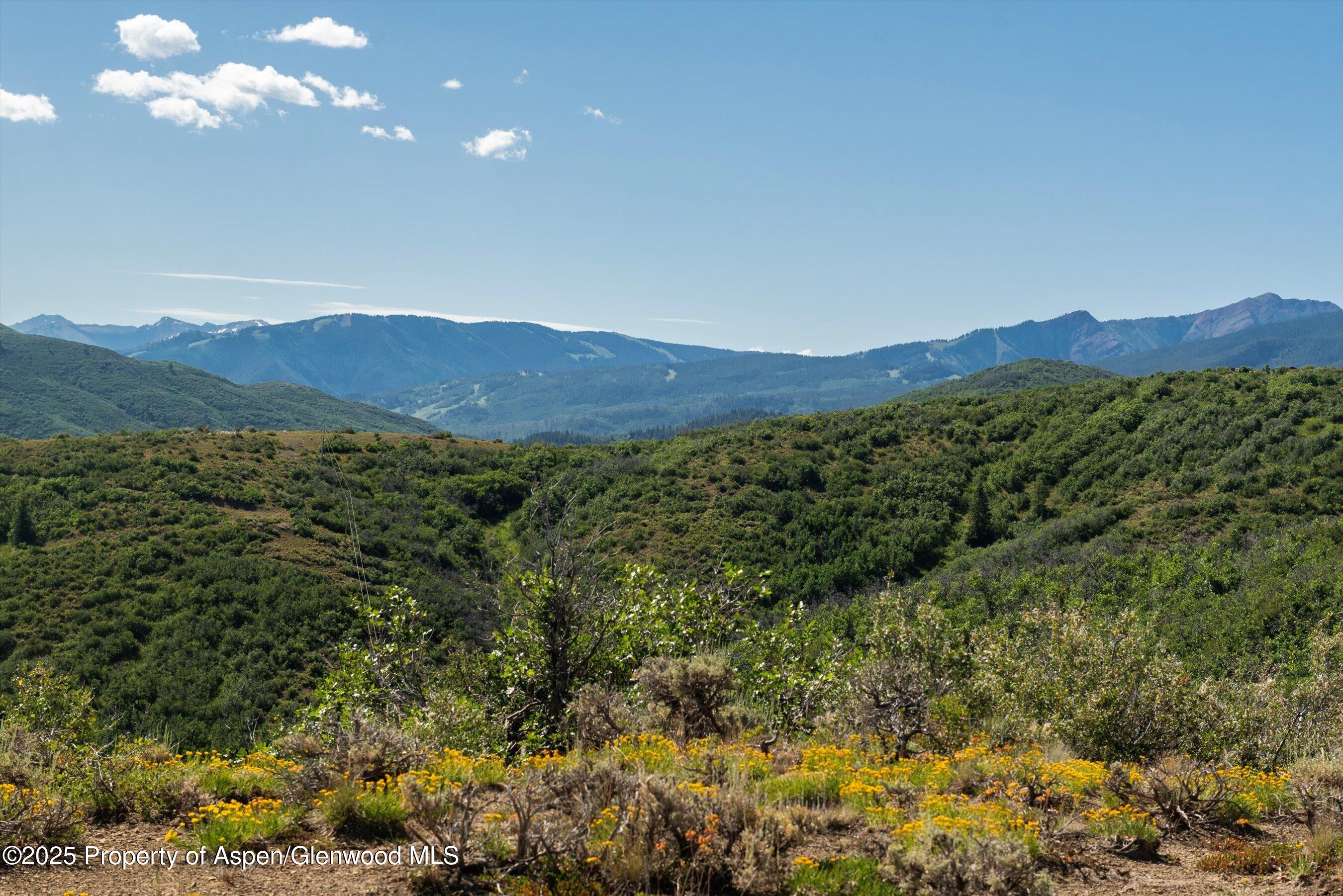 Tbd Monastery Road Snowmass, CO 81654 - Photo 19 of 26 a view of a lush green forest with mountains in the background