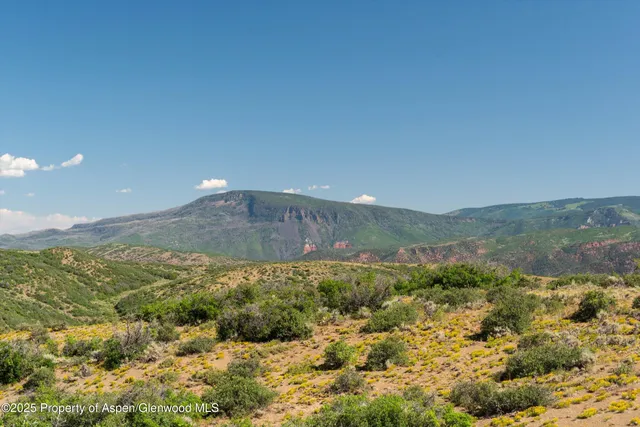 an aerial view of houses covered in trees