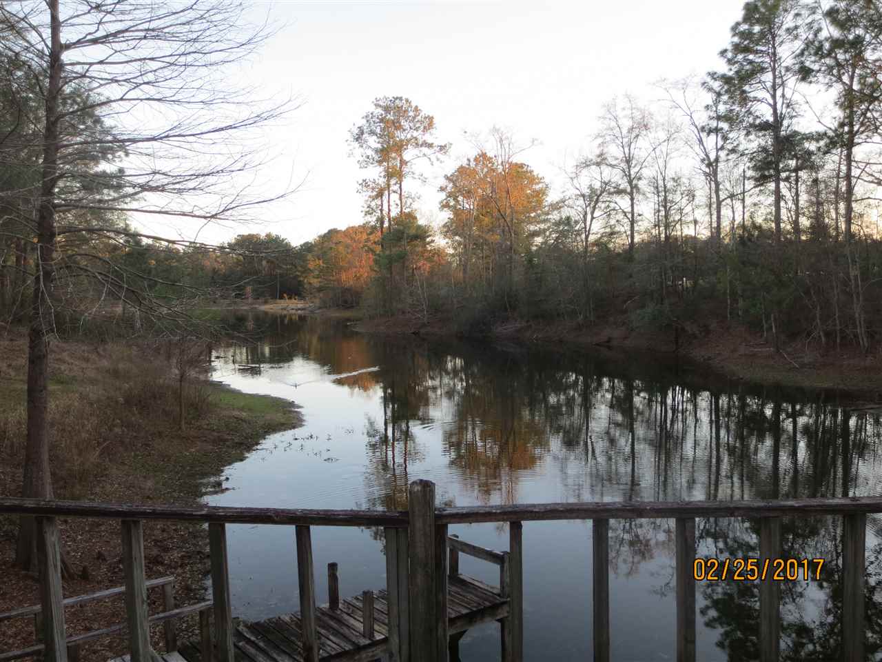 12360 Bromley Road Stapleton, AL 36578 - Photo 7 of 20 Beautiful Scenery