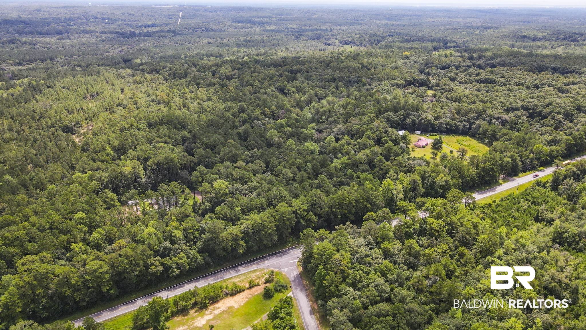 0 Mt.Pilgrim Road Eight Mile, AL 36613 - Photo 8 of 14 Drone / aerial view of a forest