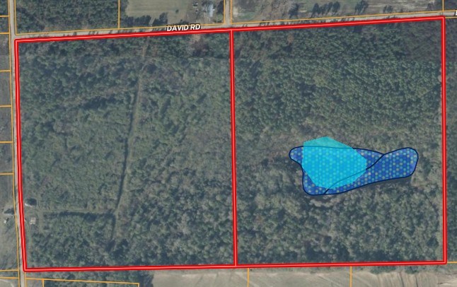 86-acres New Hinson Road Slocomb, AL 36375 - Photo 15 of 15