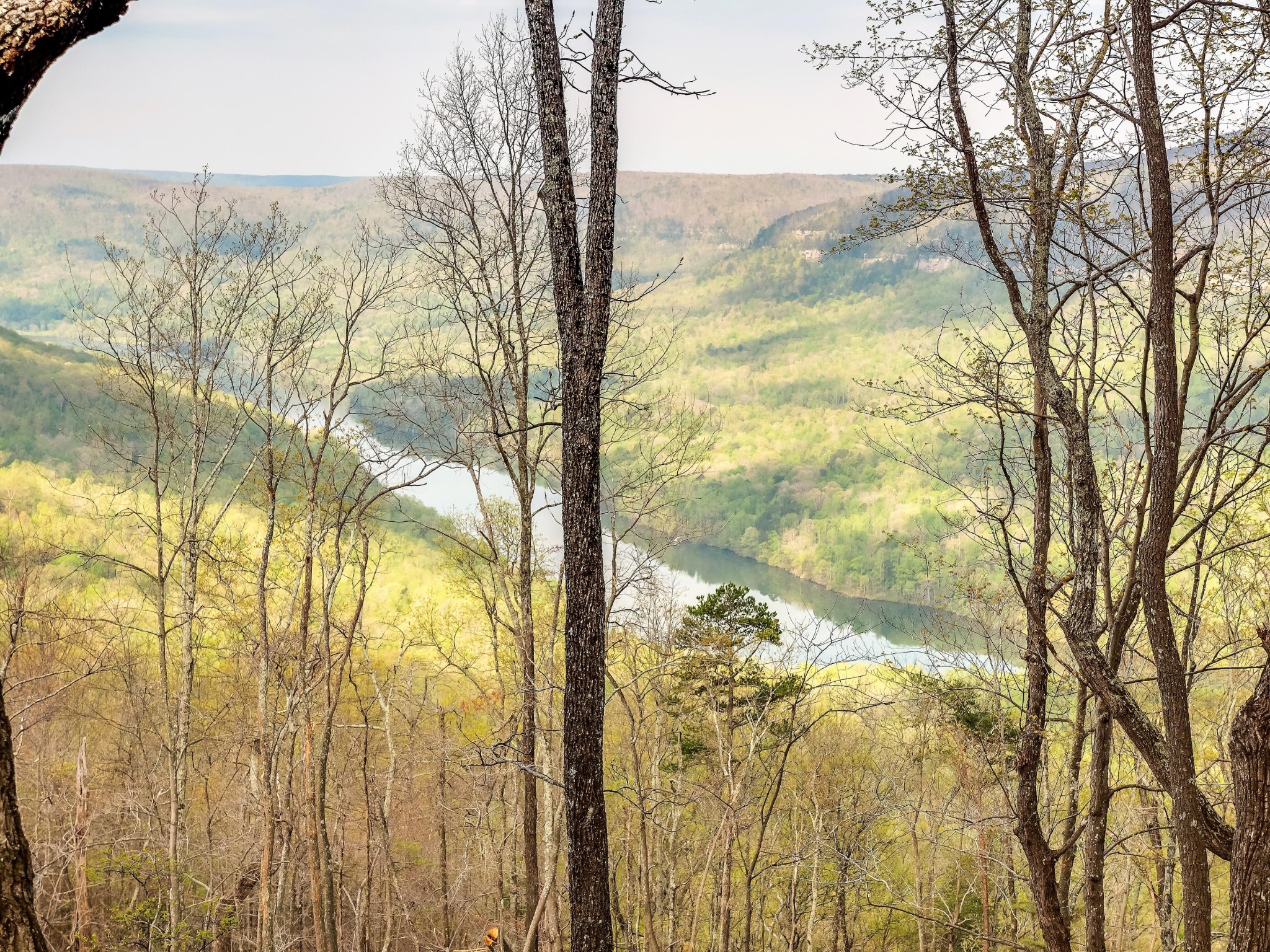 0 Healing Bluff Road Chattanooga, TN 37419 - Photo 1 of 10 Gallery Image 1