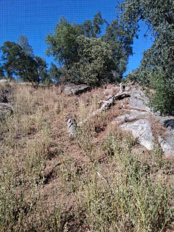 4863 Gavilan Road Mariposa, CA 95338 - Photo 8 of 19