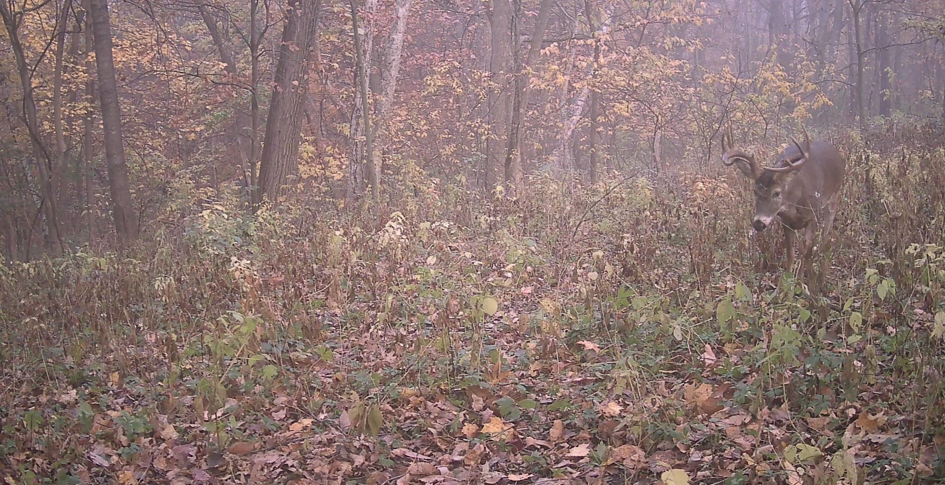 58877 Sudden Valley View Road Eastman, WI 54626 - Photo 16 of 16