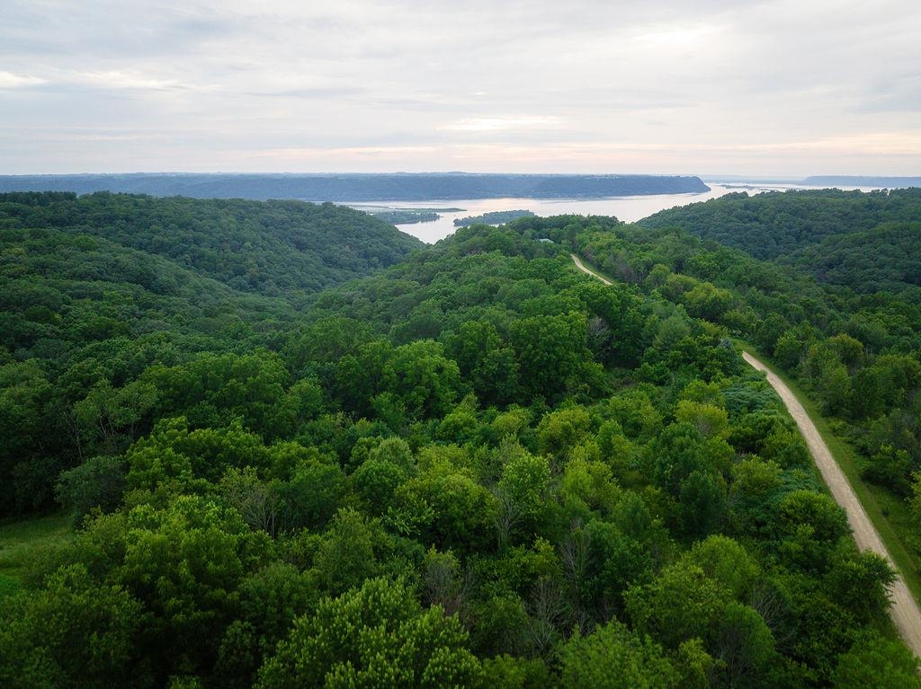 58877 Sudden Valley View Road Eastman, WI 54626 - Photo 4 of 16