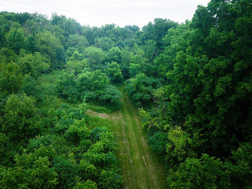 58877 Sudden Valley View Road Eastman, WI 54626 - Photo 5 of 16