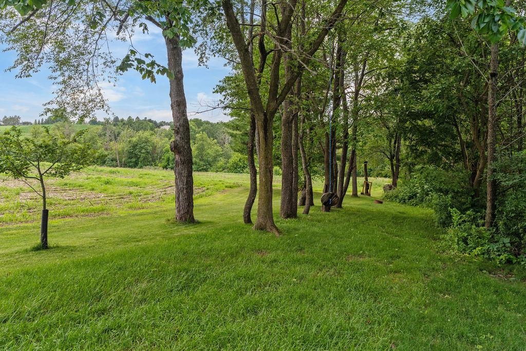 58877 Sudden Valley View Road Eastman, WI 54626 - Photo 8 of 16